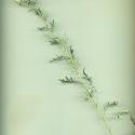 VTax3274.Ex1_.Img1_.jpg