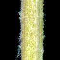 VTax3274.Ex1_.Img4_.jpg