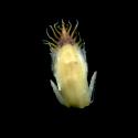 VTax3274.Ex1_.Img6_.jpg