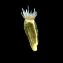VTax3274.Ex1_.Img8_.jpg