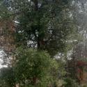 VTax4771.Ex1_.Img6_.jpg