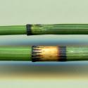VTax4777.Ex1_.Img3_.jpg