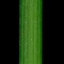 VTax4777.Ex1_.Img4_.jpg