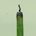 VTax4777.Ex1_.Img5_.jpg