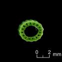VTax4777.Ex1_.Img7_.jpg