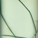 VTax4777.Ex1_.Img9_.jpg