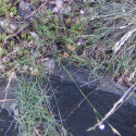 VTax2055.Ex1.Img3