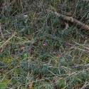 VTax1457.Ex1.Img6