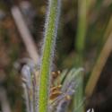VTax195.Ex1.Img5