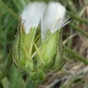 VTax3385.Ex2.Img4