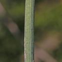 VTax3599.Ex2.Img1