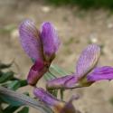 VTax642.Ex1.Img5