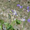 VTax1296.Ex1.Img5