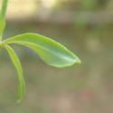 VTax2841.Ex1.Img6