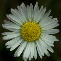 VTax2990.Ex1.Img9