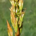 VTax3508.Ex1.Img4