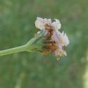 VTax2543.Ex1.Img3