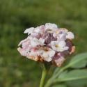 VTax2543.Ex1.Img5