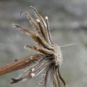 VTax3323.Ex2.Img4