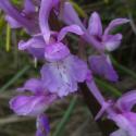 VTax4267.Ex1.Img3