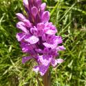 VTax4276.Ex1.Img5