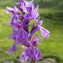 VTax4276.Ex1.Img6