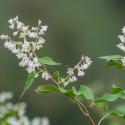 VTax4784.ExN_.Img7_