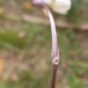VTax1283.Ex1.Img5