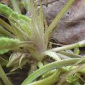VTax1283.Ex1.Img6