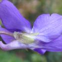 VTax1283.Ex1.Img7