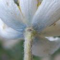 VTax194.Ex1.Img6