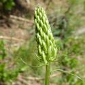 VTax2964.Ex4.Img5
