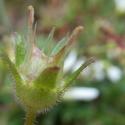VTax353.Ex1.Img6