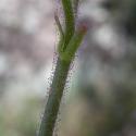 VTax353.Ex1.Img7