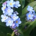 VTax2363.Ex1.Img3