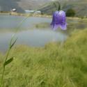 VTax2956.Ex1.Img4