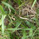 VTax2956.Ex1.Img6