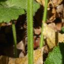 Img.VTax1004.Ex1.Img6