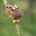Img.VTax1007.Ex1.Img3