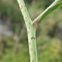 Img.VTax1007.Ex1.Img5