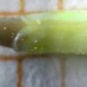Img.VTax1013.Ex2.Img3