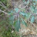 Img.VTax1015.Ex1.Img3