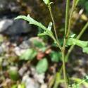 Img.VTax1022.Ex2.Img3