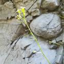 Img.VTax1022.Ex2.Img5