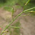Img.VTax1032.Ex3.Img6