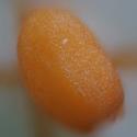 Img.VTax1032.Ex5.Img6