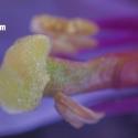 Img.VTax1032.Ex5.Img9