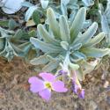 Img.VTax1045.Ex1.Img3