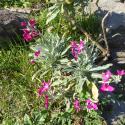 Img.VTax1046.Ex1.Img6