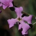 Img.VTax1058.Ex1.Img6